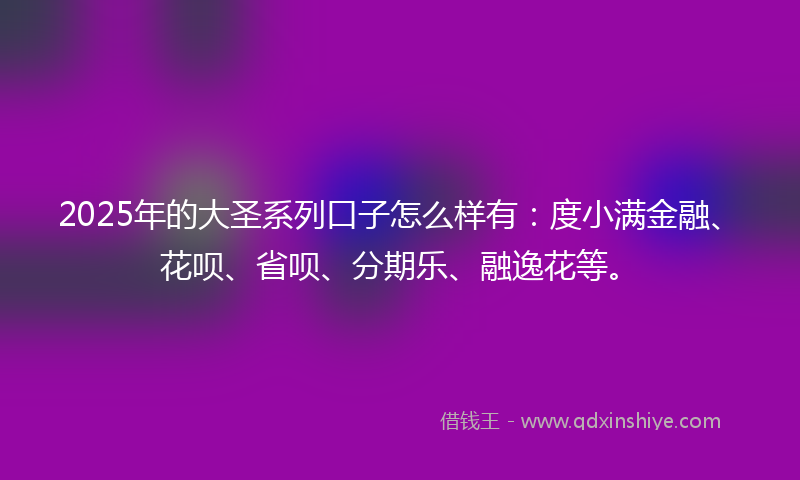 2025年的大圣系列口子怎么样有：度小满金融、花呗、省呗、分期乐、融逸花等。