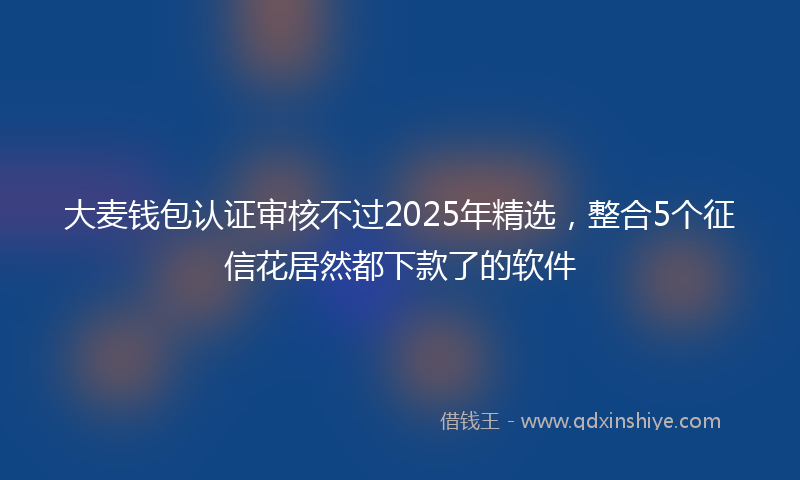 大麦钱包认证审核不过2025年精选，整合5个征信花居然都下款了的软件