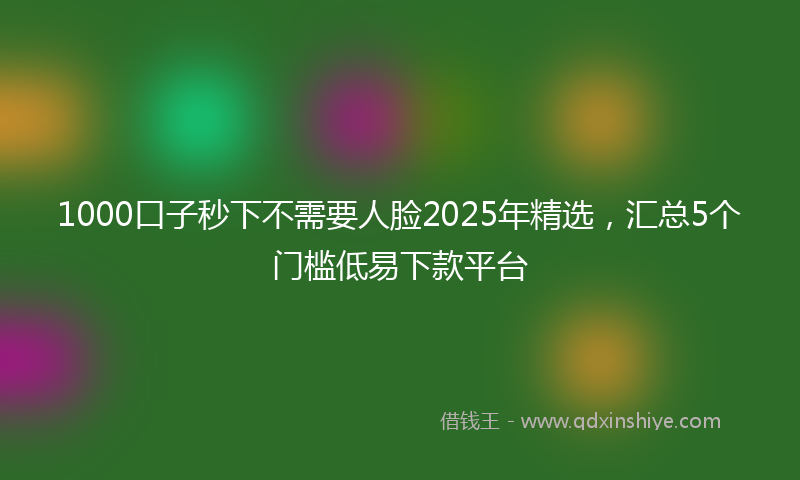 1000口子秒下不需要人脸2025年精选，汇总5个门槛低易下款平台