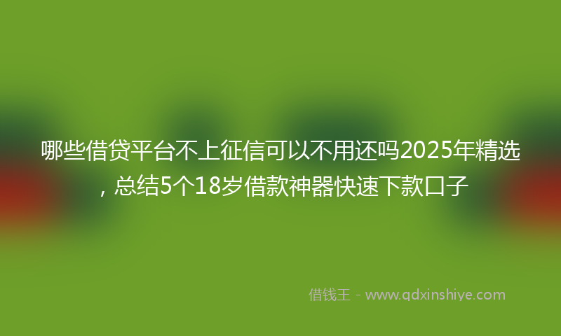 哪些借贷平台不上征信可以不用还吗2025年精选，总结5个18岁借款神器快速下款口子