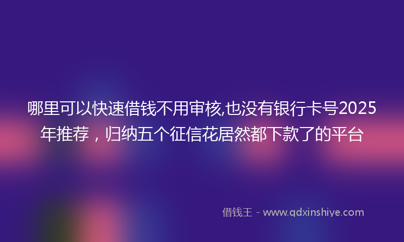 哪里可以快速借钱不用审核,也没有银行卡号2025年推荐，归纳五个征信花居然都下款了的平台