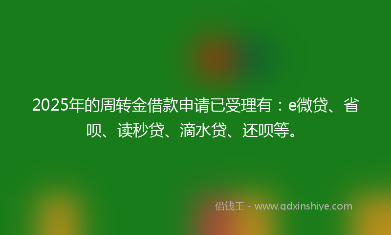 2025年的周转金借款申请已受理有：e微贷、省呗、读秒贷、滴水贷、还呗等。
