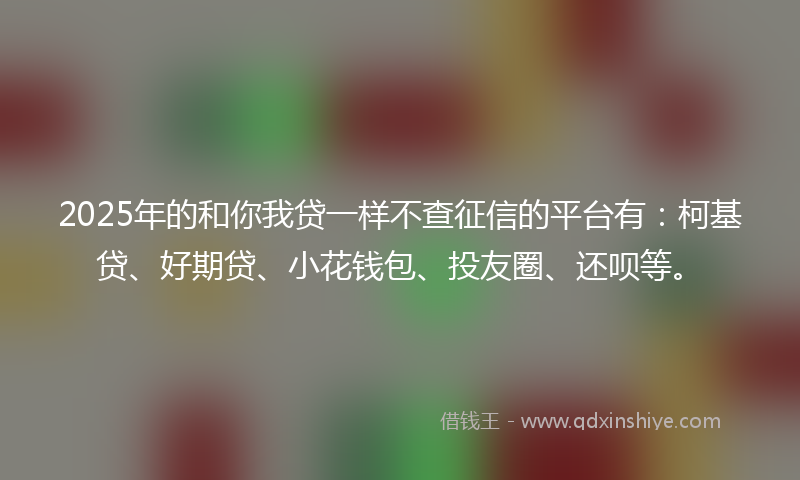 2025年的和你我贷一样不查征信的平台有：柯基贷、好期贷、小花钱包、投友圈、还呗等。