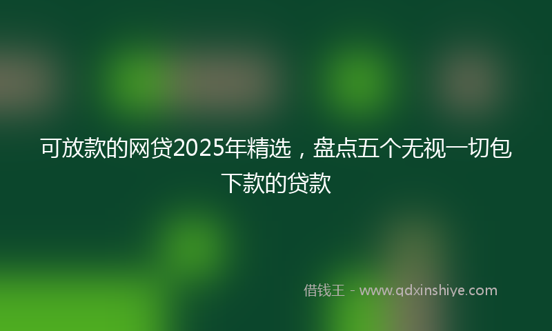 可放款的网贷2025年精选，盘点五个无视一切包下款的贷款