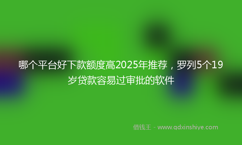 哪个平台好下款额度高2025年推荐，罗列5个19岁贷款容易过审批的软件