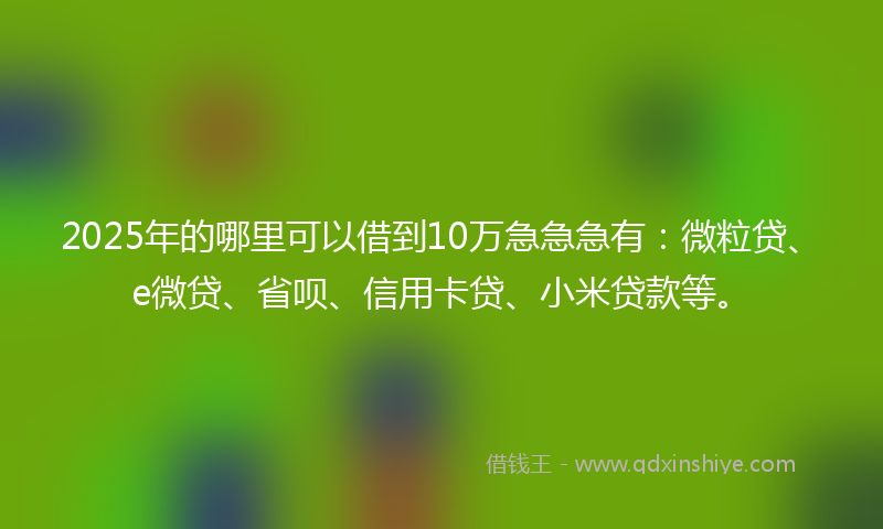 2025年的哪里可以借到10万急急急有：微粒贷、e微贷、省呗、信用卡贷、小米贷款等。