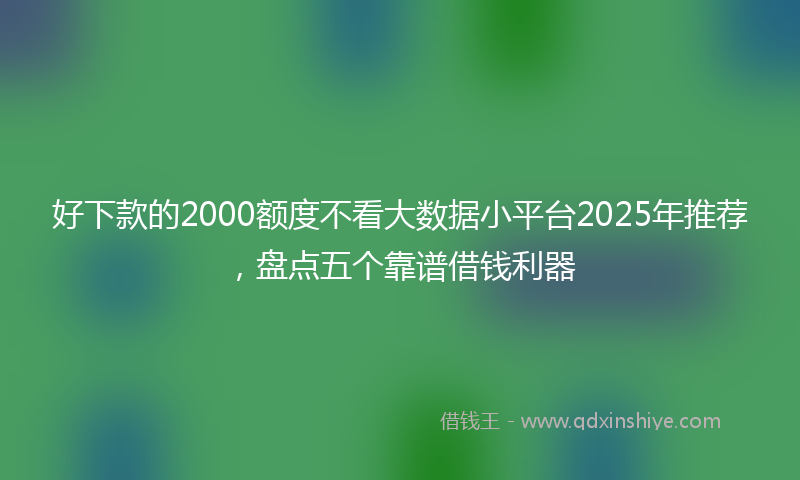 好下款的2000额度不看大数据小平台2025年推荐，盘点五个靠谱借钱利器