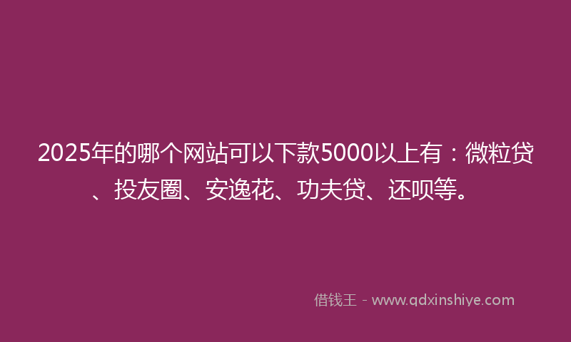 2025年的哪个网站可以下款5000以上有：微粒贷、投友圈、安逸花、功夫贷、还呗等。