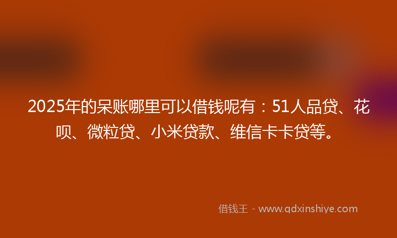 2025年的呆账哪里可以借钱呢有：51人品贷、花呗、微粒贷、小米贷款、维信卡卡贷等。