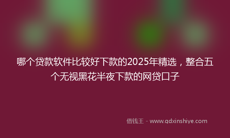 哪个贷款软件比较好下款的2025年精选，整合五个无视黑花半夜下款的网贷口子