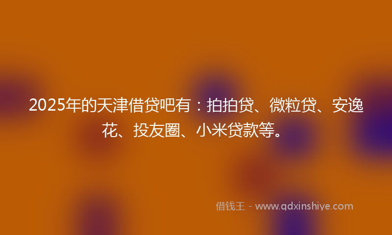 2025年的天津借贷吧有：拍拍贷、微粒贷、安逸花、投友圈、小米贷款等。