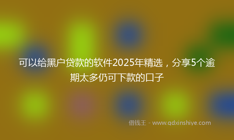 可以给黑户贷款的软件2025年精选，分享5个逾期太多仍可下款的口子