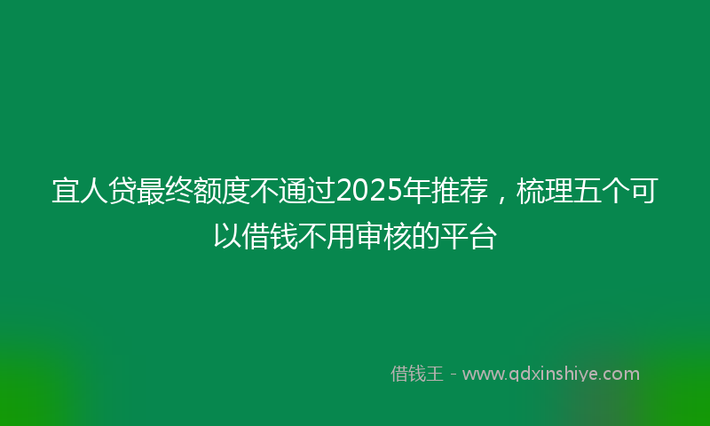 宜人贷最终额度不通过2025年推荐，梳理五个可以借钱不用审核的平台