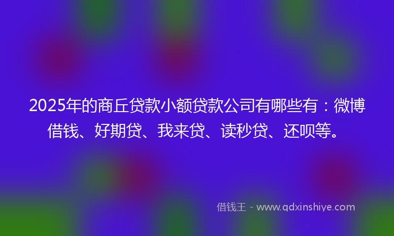 2025年的商丘贷款小额贷款公司有哪些有：微博借钱、好期贷、我来贷、读秒贷、还呗等。