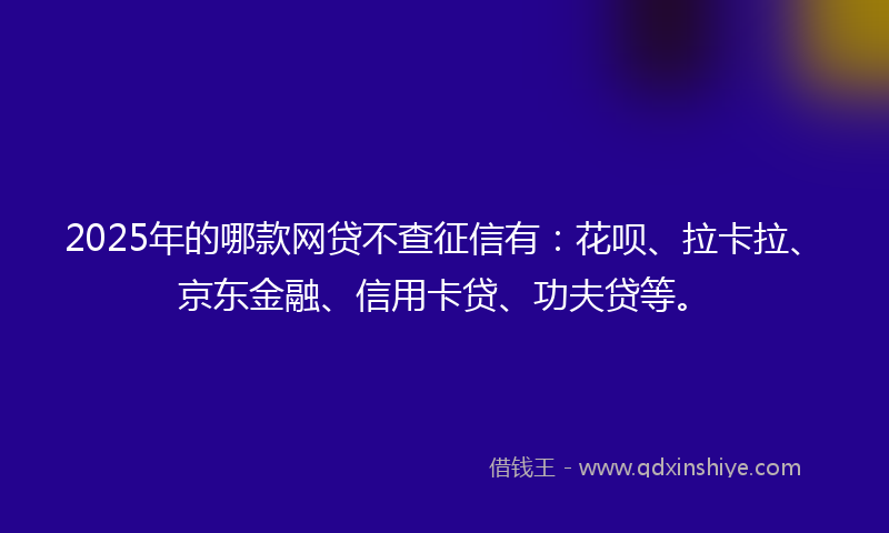 2025年的哪款网贷不查征信有：花呗、拉卡拉、京东金融、信用卡贷、功夫贷等。