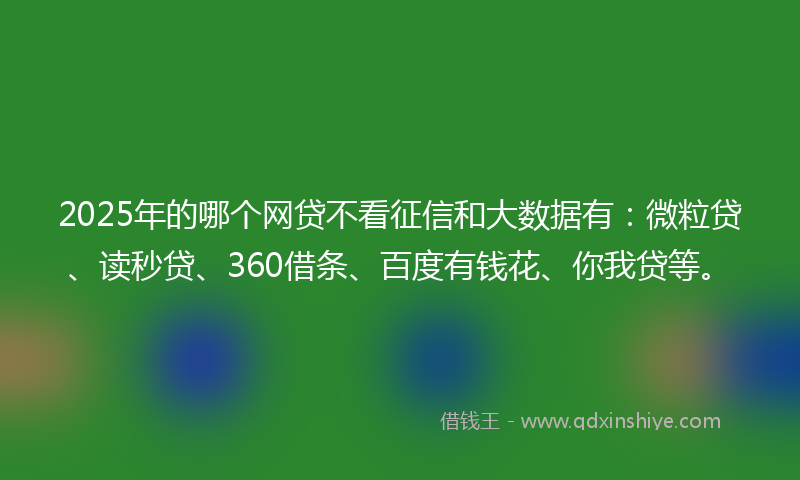 2025年的哪个网贷不看征信和大数据有：微粒贷、读秒贷、360借条、百度有钱花、你我贷等。