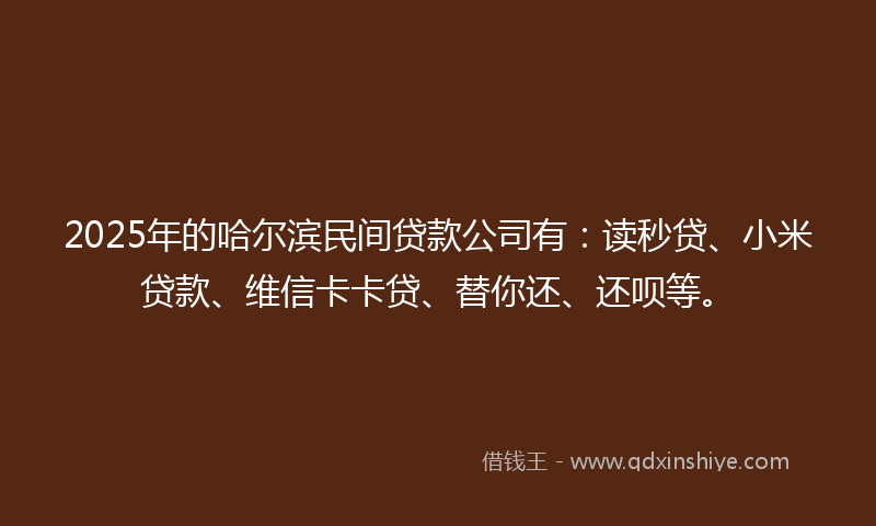 2025年的哈尔滨民间贷款公司有：读秒贷、小米贷款、维信卡卡贷、替你还、还呗等。