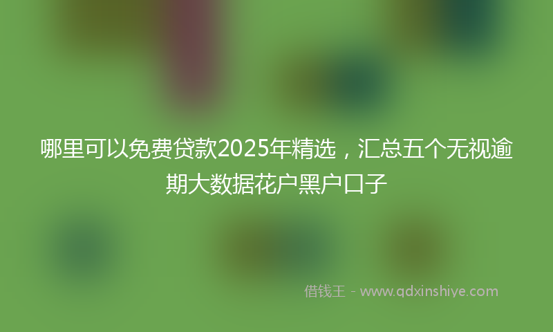 哪里可以免费贷款2025年精选，汇总五个无视逾期大数据花户黑户口子