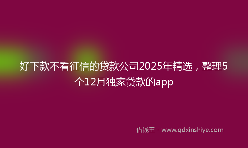 好下款不看征信的贷款公司2025年精选，整理5个12月独家贷款的app