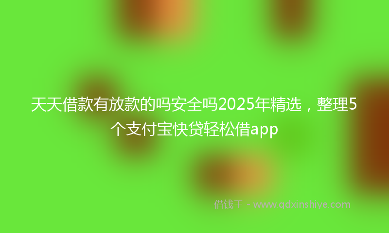天天借款有放款的吗安全吗2025年精选，整理5个支付宝快贷轻松借app