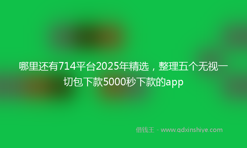 哪里还有714平台2025年精选，整理五个无视一切包下款5000秒下款的app