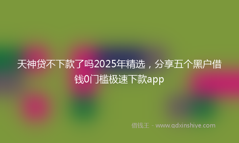 天神贷不下款了吗2025年精选，分享五个黑户借钱0门槛极速下款app