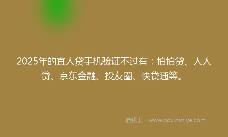 2025年的宜人贷手机验证不过有：拍拍贷、人人贷、京东金融、投友圈、快贷通等。