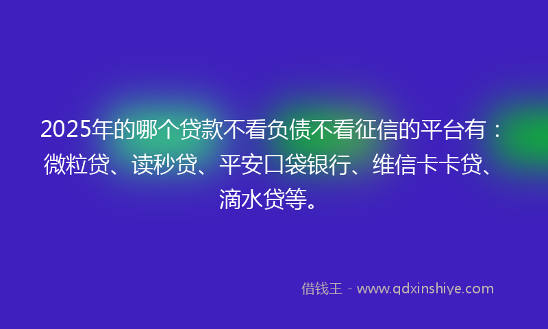 2025年的哪个贷款不看负债不看征信的平台有：微粒贷、读秒贷、平安口袋银行、维信卡卡贷、滴水贷等。