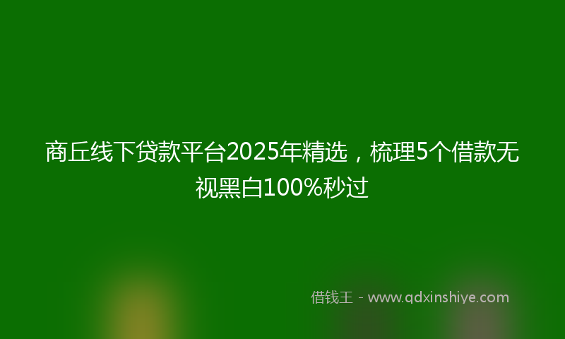 商丘线下贷款平台2025年精选，梳理5个借款无视黑白100%秒过