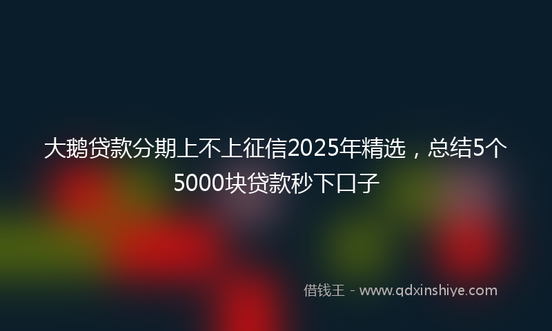 大鹅贷款分期上不上征信2025年精选，总结5个5000块贷款秒下口子