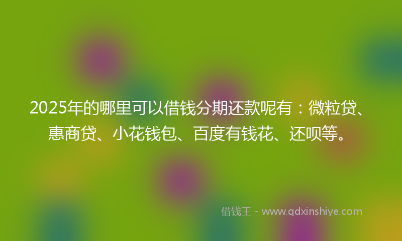 2025年的哪里可以借钱分期还款呢有：微粒贷、惠商贷、小花钱包、百度有钱花、还呗等。