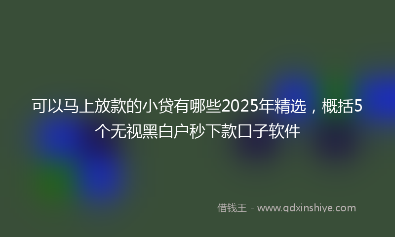 可以马上放款的小贷有哪些2025年精选，概括5个无视黑白户秒下款口子软件