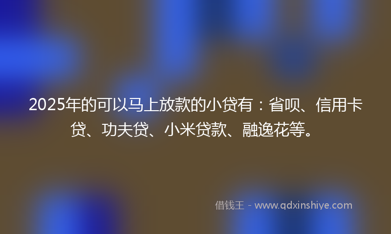 2025年的可以马上放款的小贷有：省呗、信用卡贷、功夫贷、小米贷款、融逸花等。
