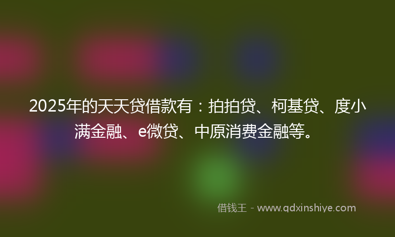 2025年的天天贷借款有：拍拍贷、柯基贷、度小满金融、e微贷、中原消费金融等。