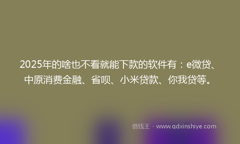 2025年的啥也不看就能下款的软件有：e微贷、中原消费金融、省呗、小米贷款、你我贷等。