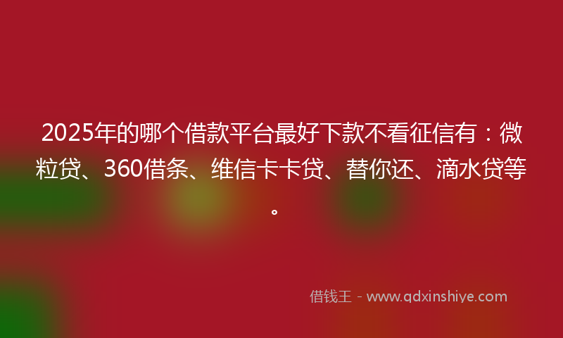 2025年的哪个借款平台最好下款不看征信有：微粒贷、360借条、维信卡卡贷、替你还、滴水贷等。