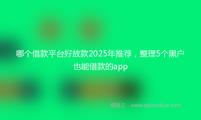 哪个借款平台好放款2025年推荐，整理5个黑户也能借款的app