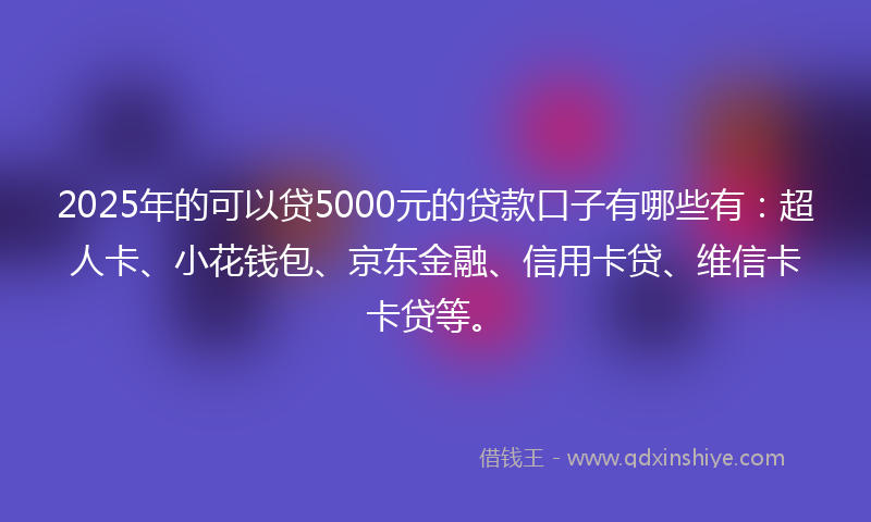 2025年的可以贷5000元的贷款口子有哪些有：超人卡、小花钱包、京东金融、信用卡贷、维信卡卡贷等。