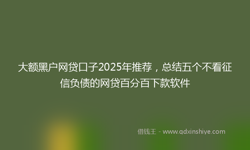 大额黑户网贷口子2025年推荐，总结五个不看征信负债的网贷百分百下款软件