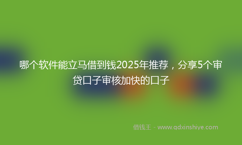 哪个软件能立马借到钱2025年推荐，分享5个审贷口子审核加快的口子