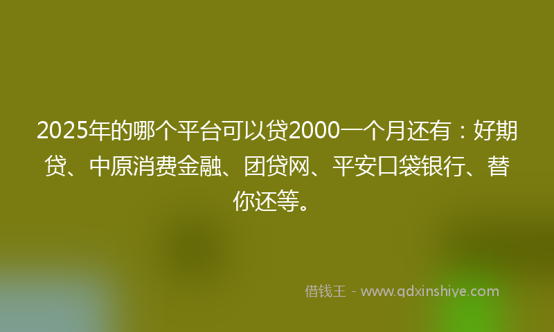 2025年的哪个平台可以贷2000一个月还有：好期贷、中原消费金融、团贷网、平安口袋银行、替你还等。