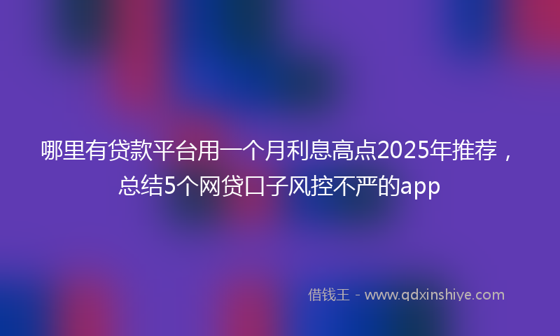 哪里有贷款平台用一个月利息高点2025年推荐，总结5个网贷口子风控不严的app