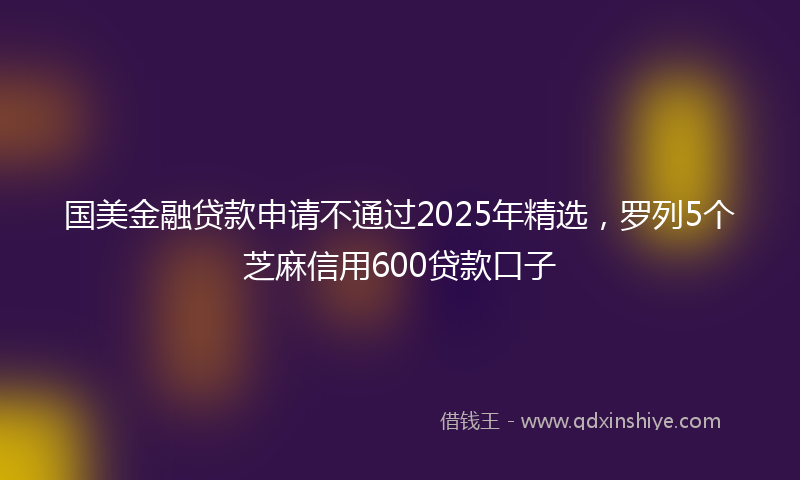 国美金融贷款申请不通过2025年精选，罗列5个芝麻信用600贷款口子