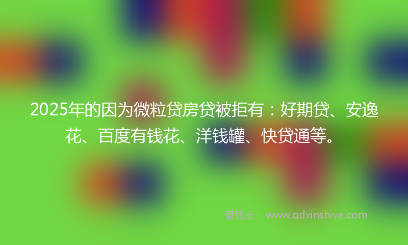 2025年的因为微粒贷房贷被拒有：好期贷、安逸花、百度有钱花、洋钱罐、快贷通等。