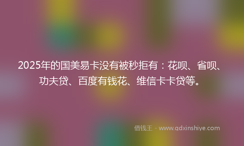 2025年的国美易卡没有被秒拒有：花呗、省呗、功夫贷、百度有钱花、维信卡卡贷等。