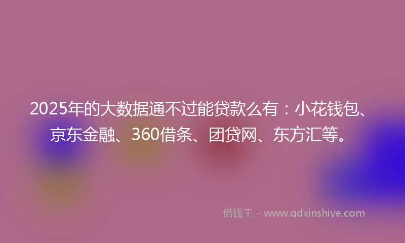 2025年的大数据通不过能贷款么有：小花钱包、京东金融、360借条、团贷网、东方汇等。