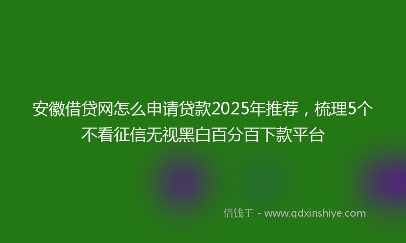 安徽借贷网怎么申请贷款2025年推荐，梳理5个不看征信无视黑白百分百下款平台