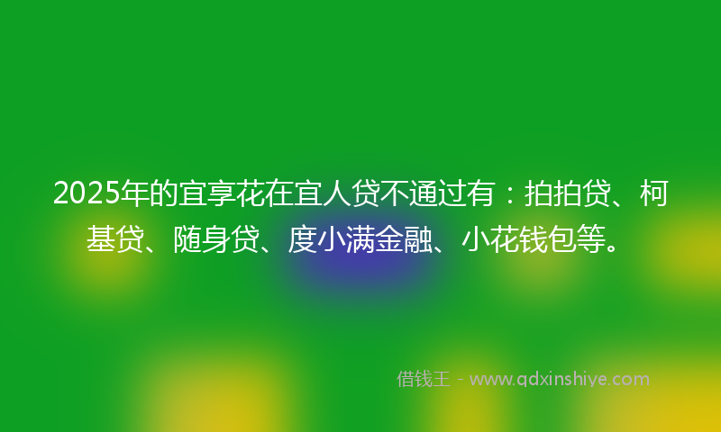 2025年的宜享花在宜人贷不通过有：拍拍贷、柯基贷、随身贷、度小满金融、小花钱包等。