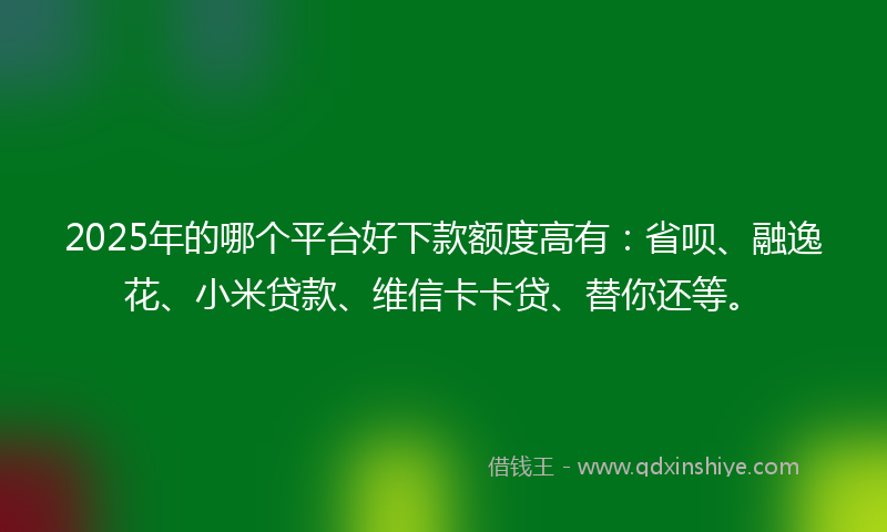 2025年的哪个平台好下款额度高有：省呗、融逸花、小米贷款、维信卡卡贷、替你还等。