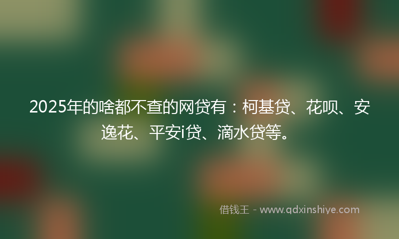 2025年的啥都不查的网贷有：柯基贷、花呗、安逸花、平安i贷、滴水贷等。